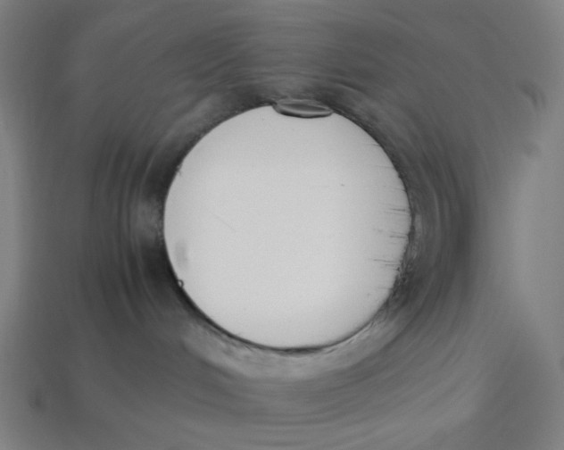 X0000113350048200910061028