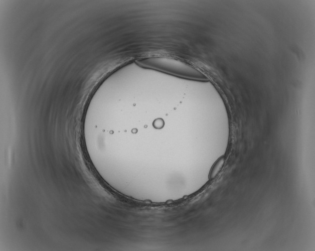 X0000113350049200910061027