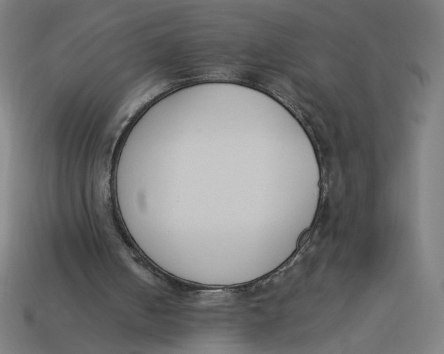 X0000113350050200910061027