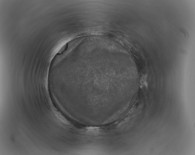 X0000113350052200910061027