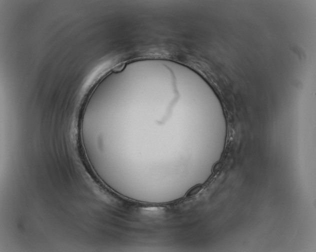 X0000113350053200910061027