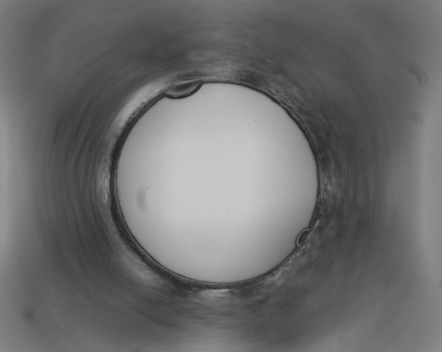 X0000113350054200910061027