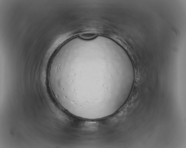 X0000113350055200910061027