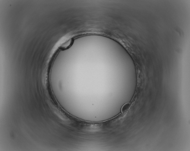 X0000113350056200910061027