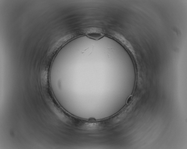 X0000113350057200910061027