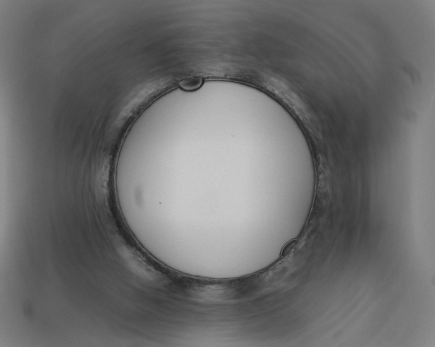 X0000113350058200910061027