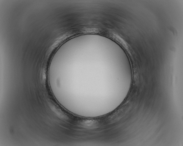 X0000113350059200910061027