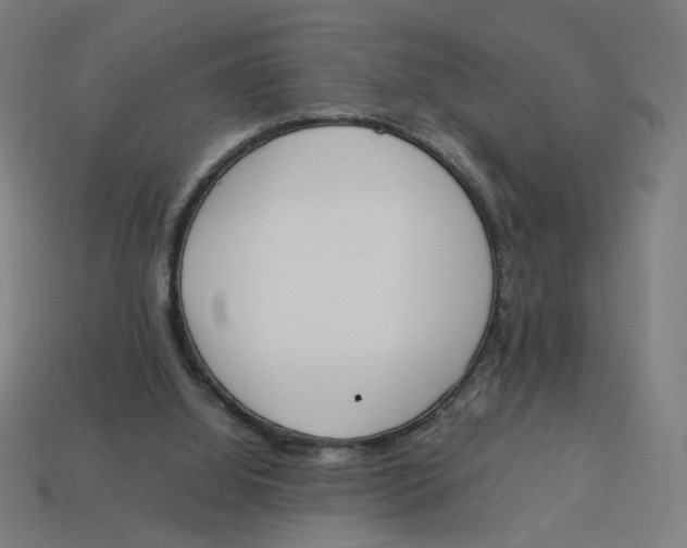 X0000113350060200910061027