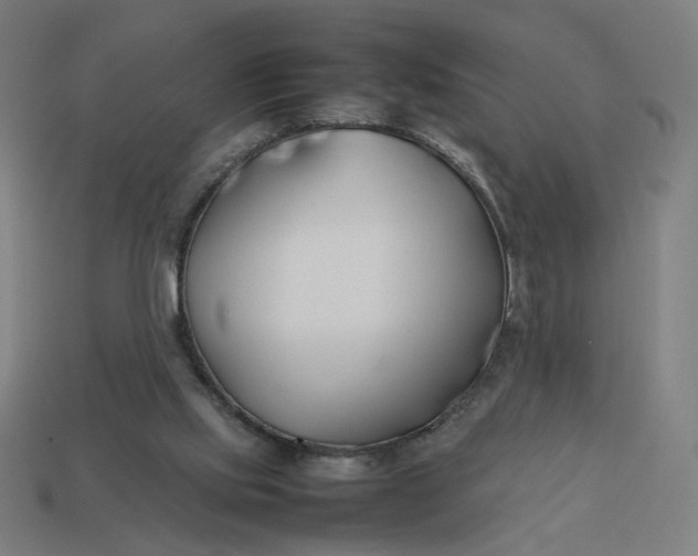 X0000113350061200910061027