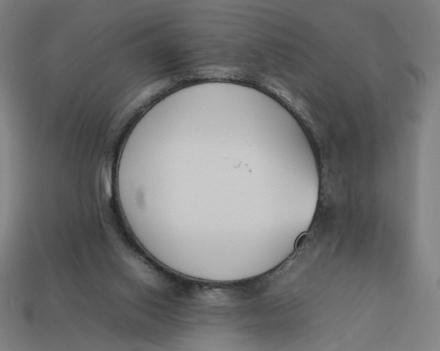 X0000113350062200910061027