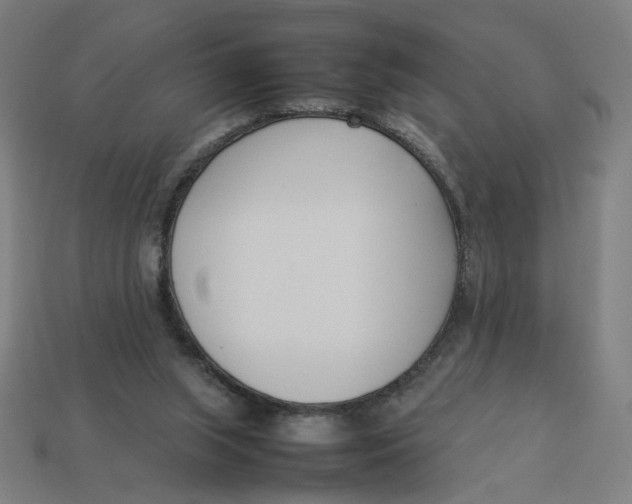 X0000113350063200910061027