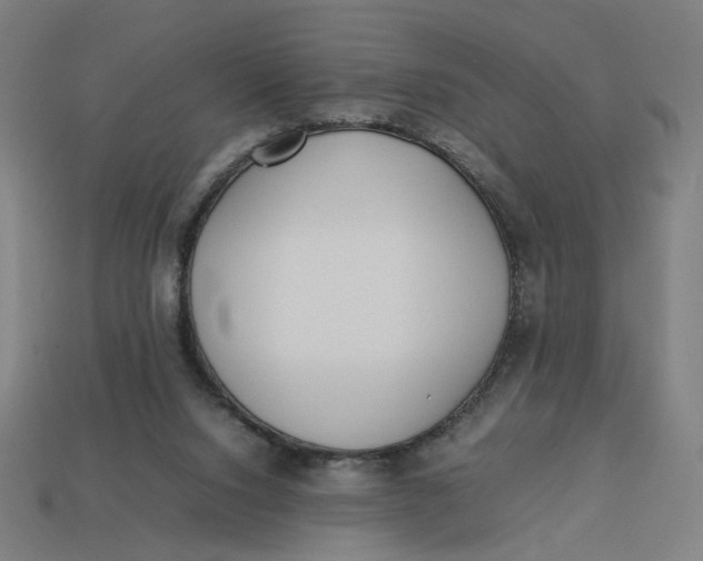 X0000113350064200910061027