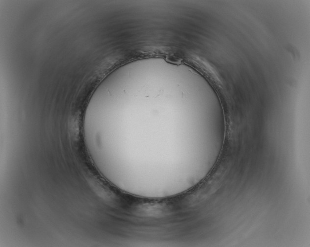 X0000113350065200910061027