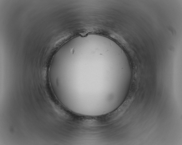 X0000113350066200910061027