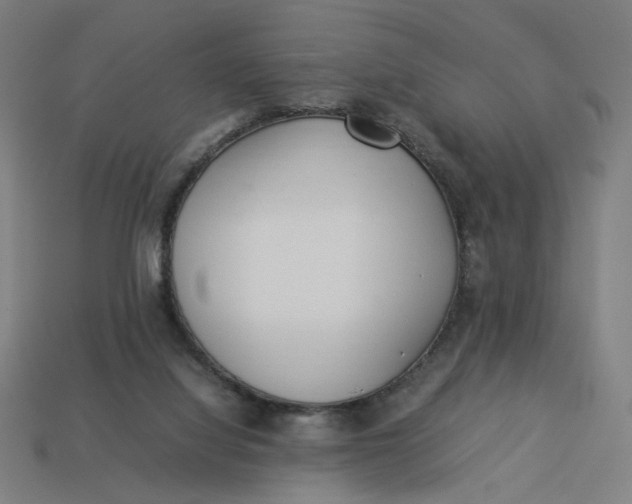 X0000113350068200910061028