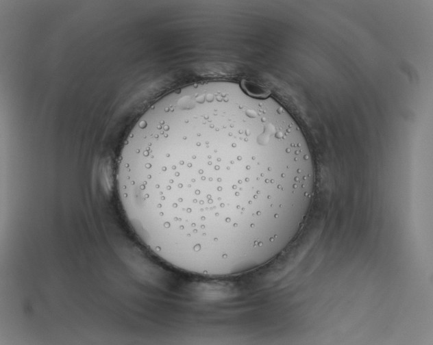 X0000113350069200910061028