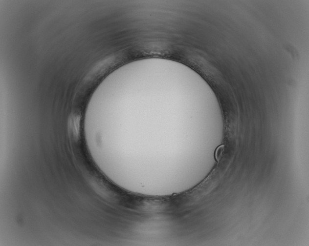 X0000113350070200910061028