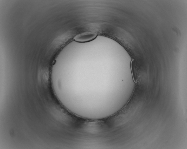 X0000113350072200910061028