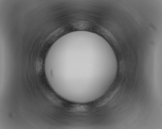 X0000113350073200910061028