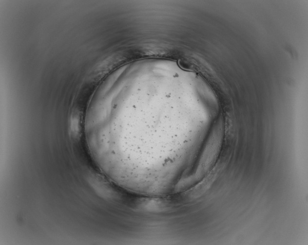 X0000113350074200910061028