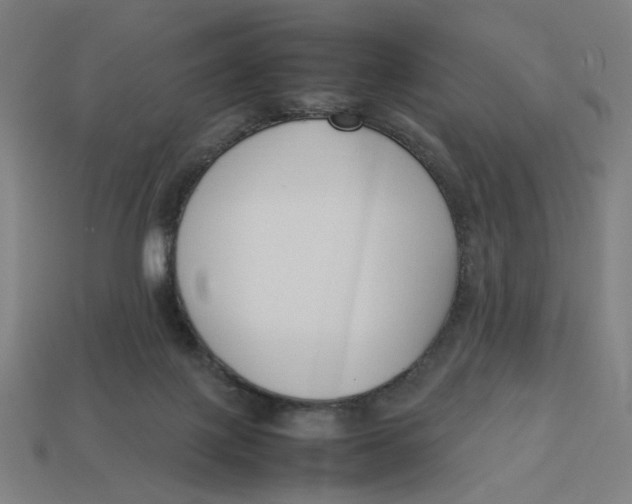 X0000113350075200910061028