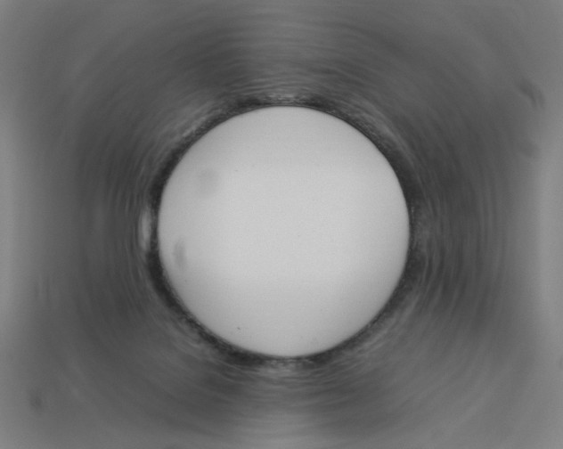 X0000113350076200910061028