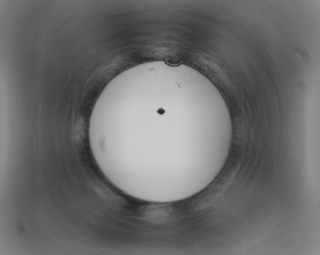 X0000113350077200910061028