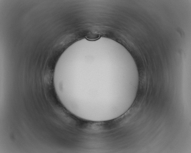 X0000113350078200910061028