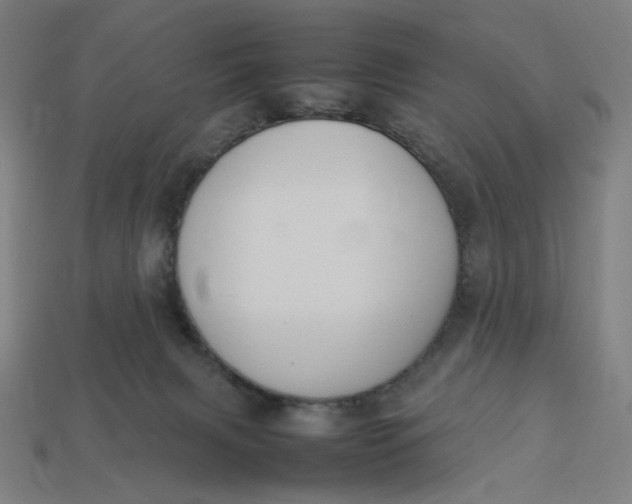 X0000113350079200910061028