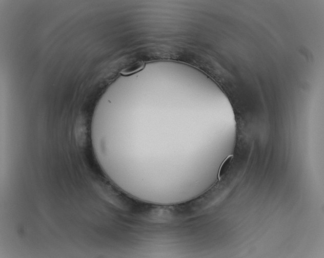 X0000113350080200910061028