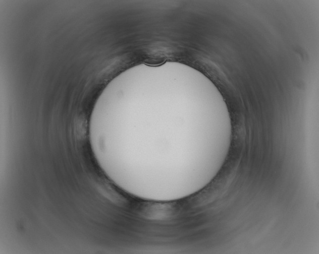 X0000113350081200910061028