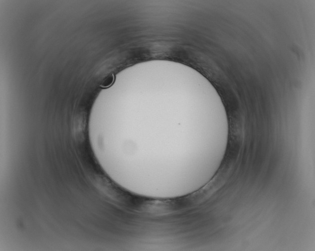 X0000113350082200910061028