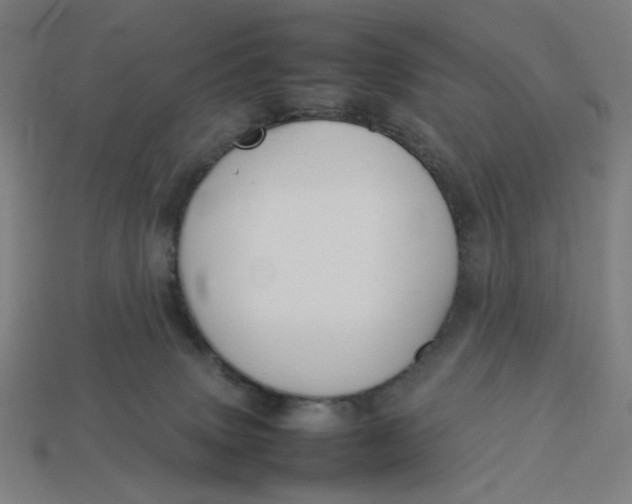 X0000113350083200910061028