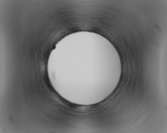 X0000113350084200910061028