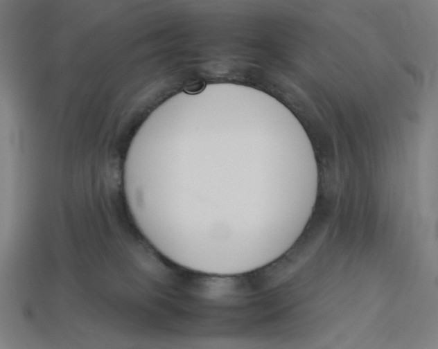 X0000113350085200910061028