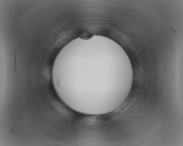 X0000113350086200910061028