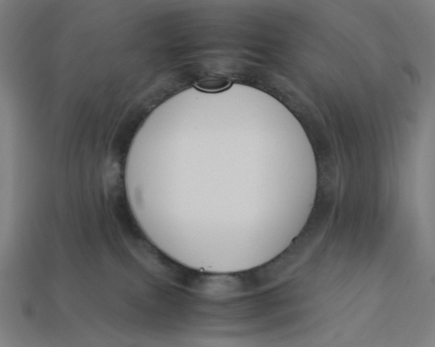 X0000113350087200910061028