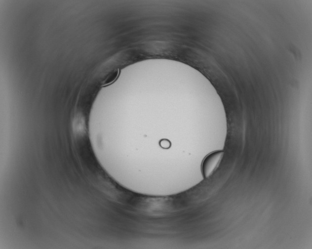 X0000113350089200910061028