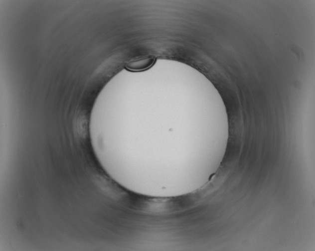 X0000113350090200910061028