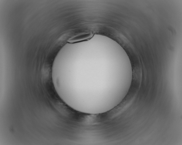 X0000113350092200910061028