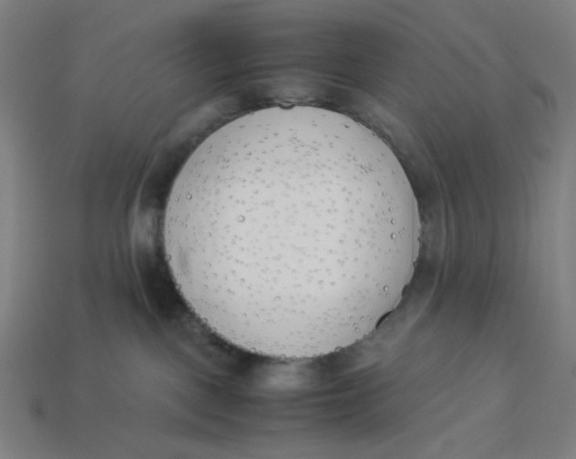 X0000113350093200910061028