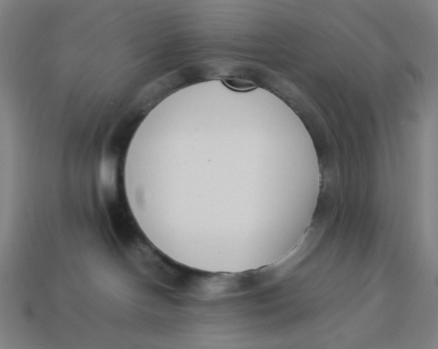 X0000113350094200910061028