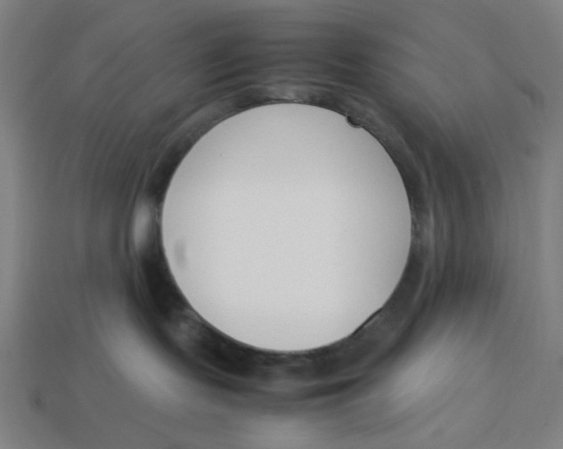 X0000113350095200910061028