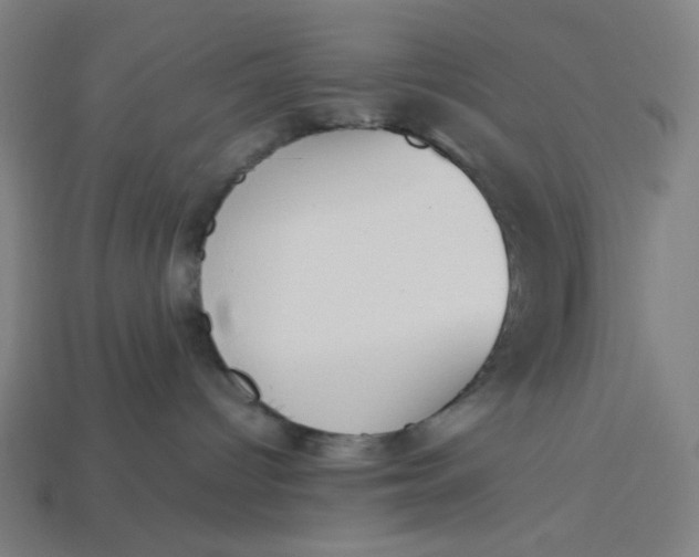 X0000113350096200910061028