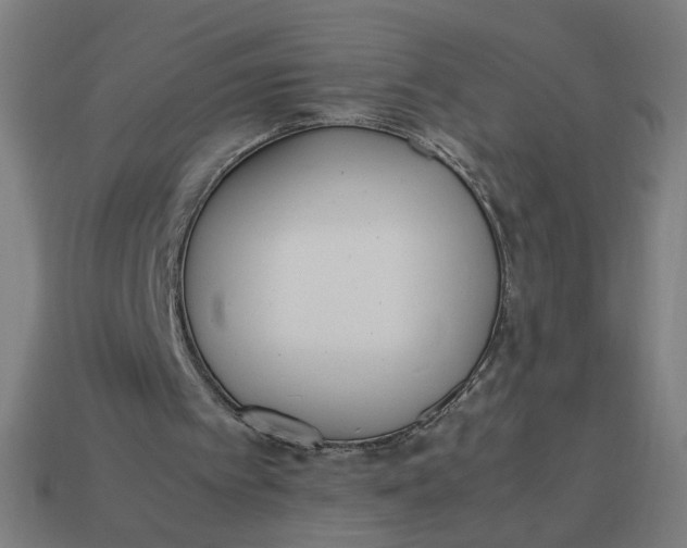 X0000113350097200910061027