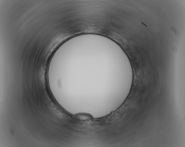 X0000113350098200910061027