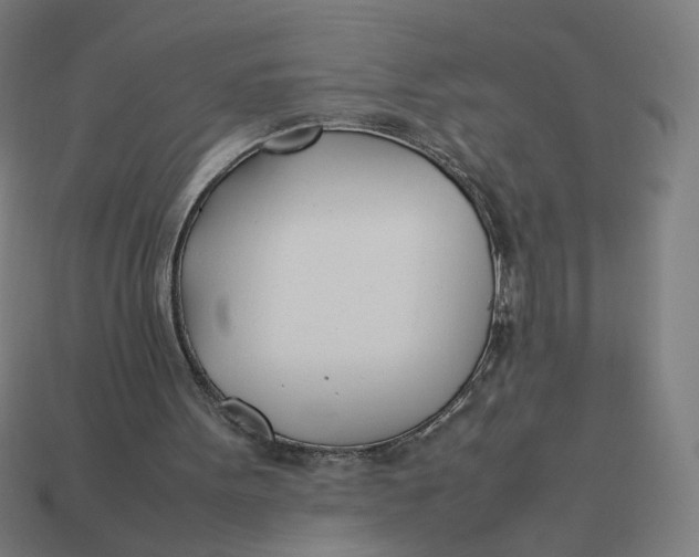 X0000113350099200910061027