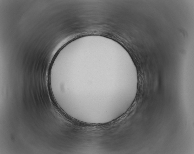 X0000113350100200910061027