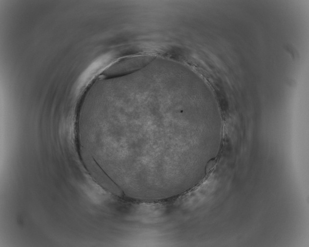 X0000113350101200910061027