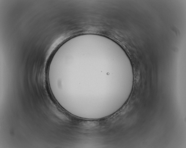 X0000113350102200910061027